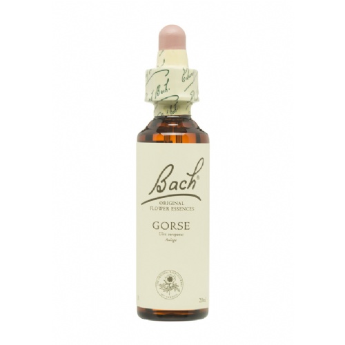 Flores de Bach Gorse 20 ml