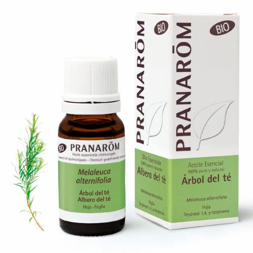 Aceite esencial arbol del te  1 envase 10 ml