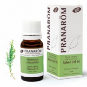 Aceite esencial arbol del te  1 envase 10 ml