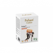 Profaes4 energy c  14 sobres 10 g sabor naranja